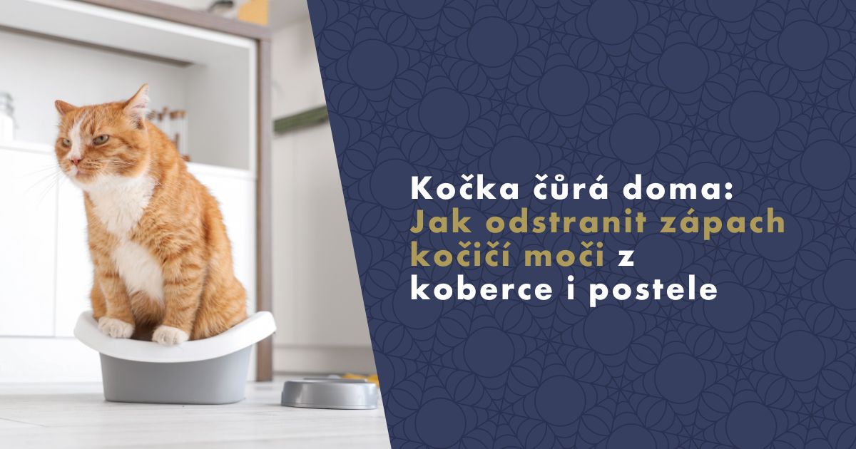 jak-odstranit-zapach-kocici-moci-fb